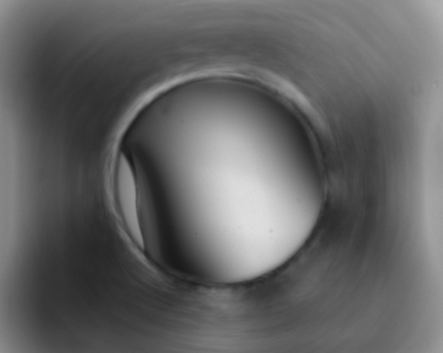 X0000092041512200709261941