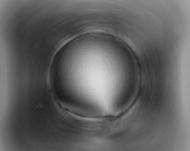 X0000092041513200709261941