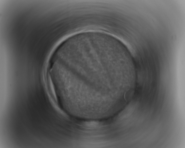 X0000092041515200709261941