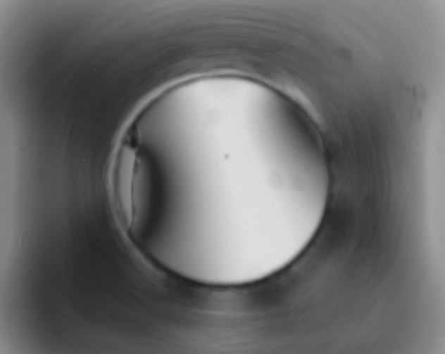 X0000092041516200709261941