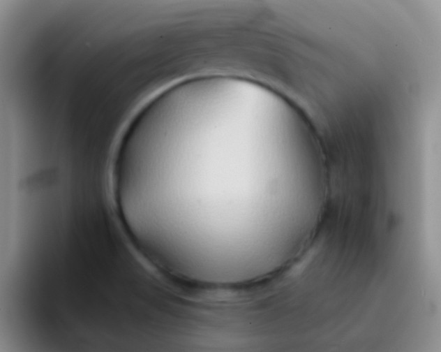 X0000092041517200709261941