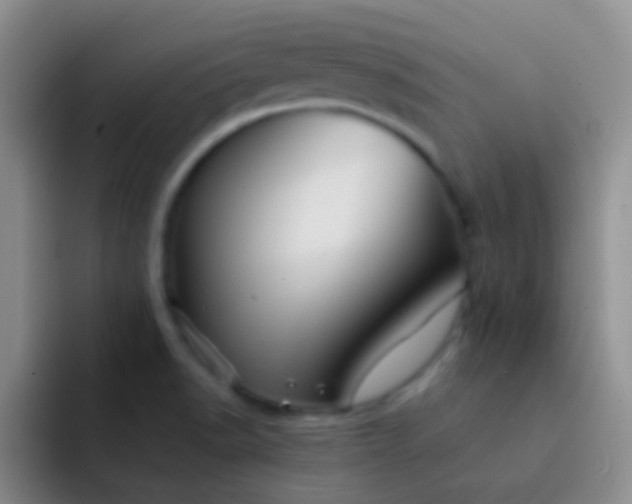 X0000092041518200709261941