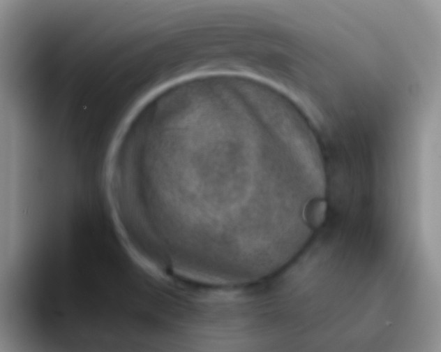 X0000092041519200709261941