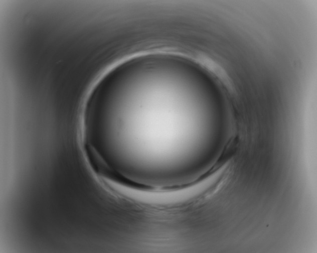 X0000092041520200709261941