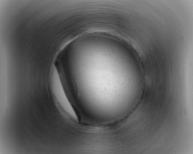 X0000092041521200709261941