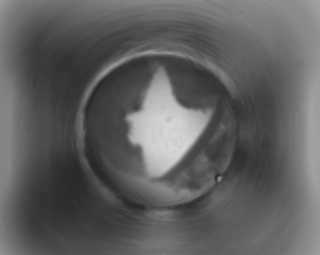 X0000092041522200709261941