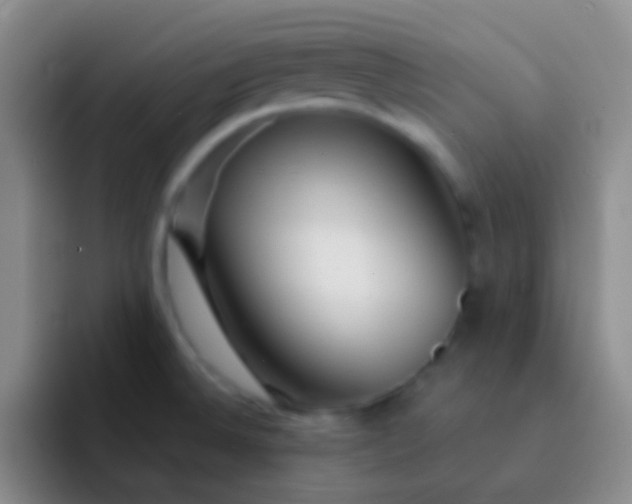 X0000092041524200709261941