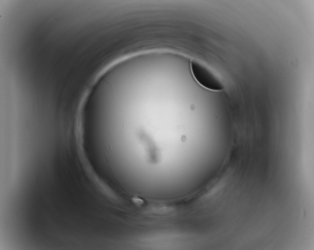 X0000092041526200709261941