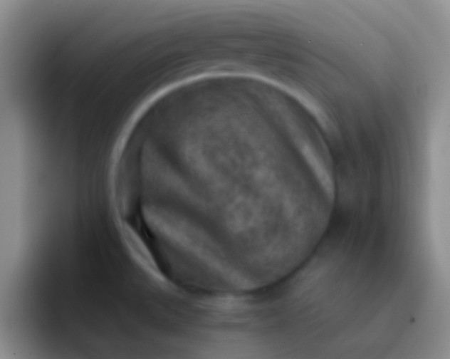 X0000092041527200709261941