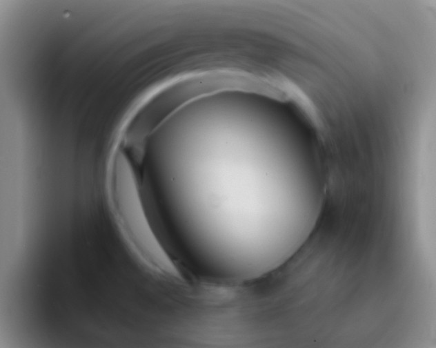 X0000092041528200709261941