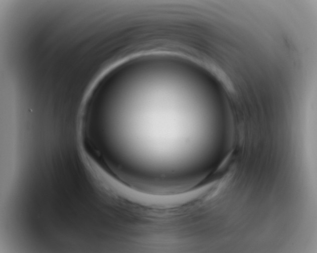 X0000092041530200709261941