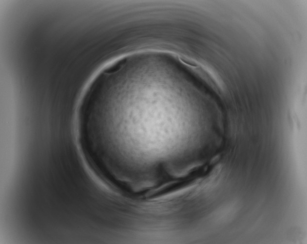 X0000092041531200709261941