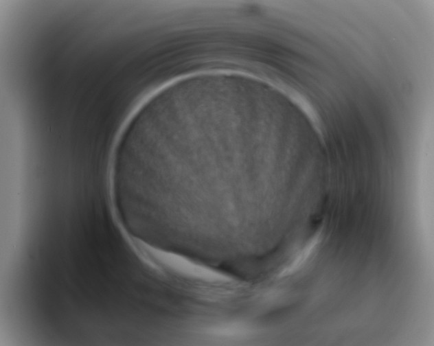 X0000092041533200709261941