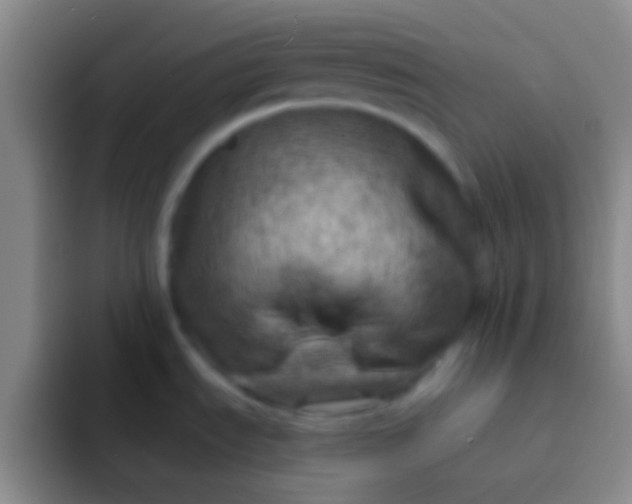 X0000092041535200709261941