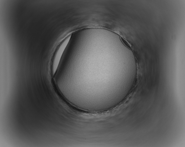 X0000092040005200710031033