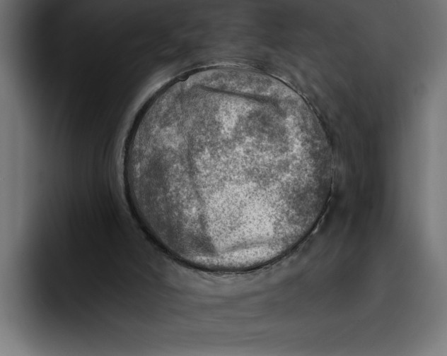 X0000092040006200710031033