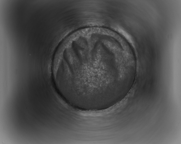 X0000092040009200710031033