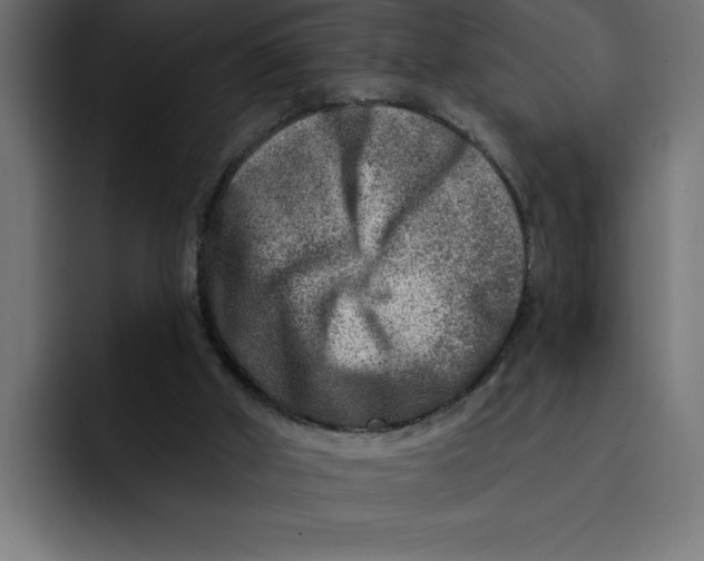 X0000092040010200710031033