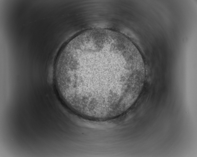 X0000092040012200710031033