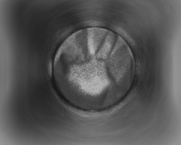 X0000092040014200710031033