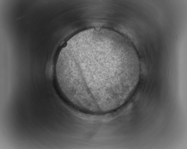 X0000092040016200710031033