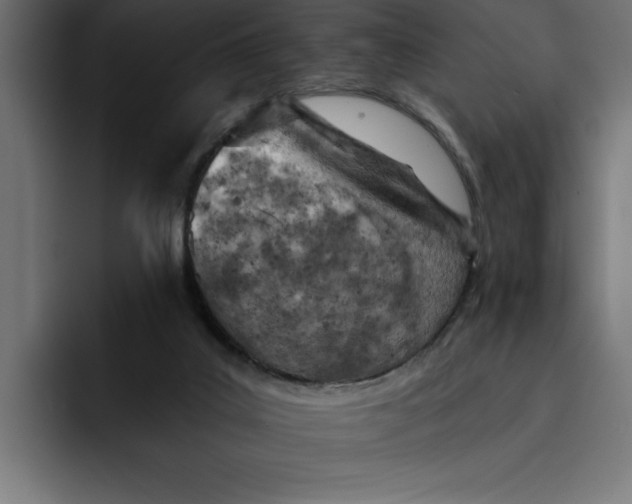 X0000092040019200710031033