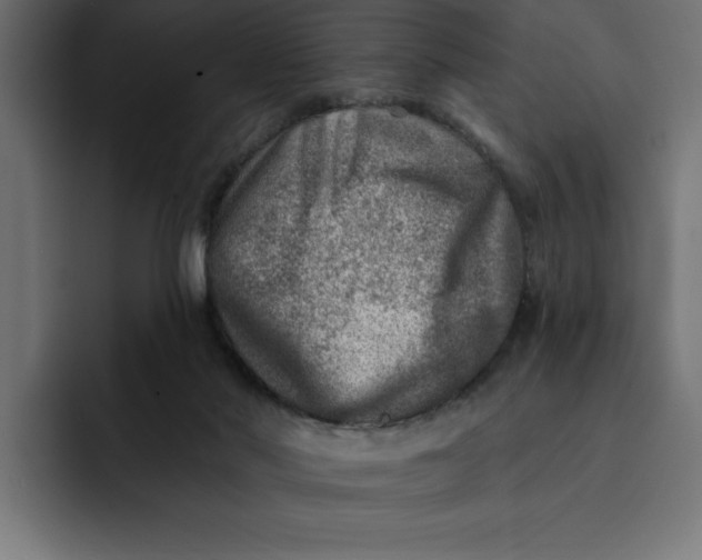 X0000092040022200710031033