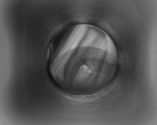 X0000092040023200710031033