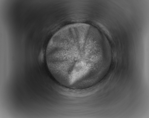 X0000092040026200710031032