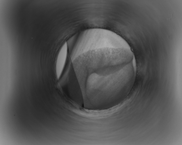 X0000092040027200710031032