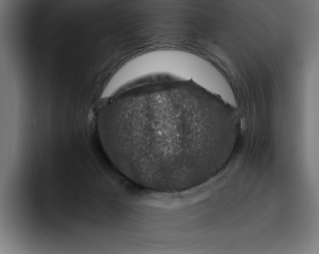 X0000092040029200710031032