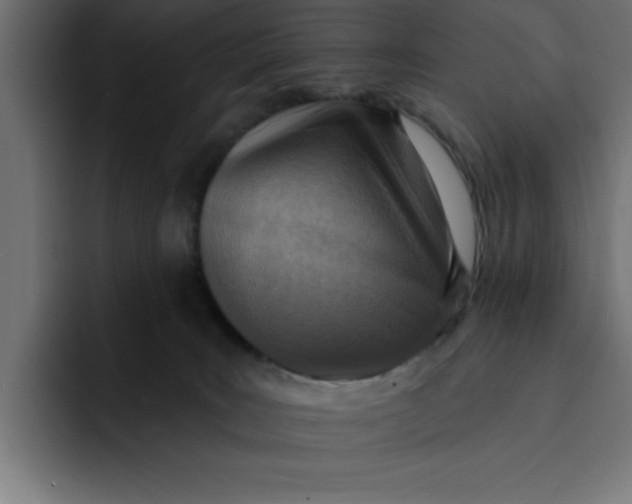 X0000092040035200710031032