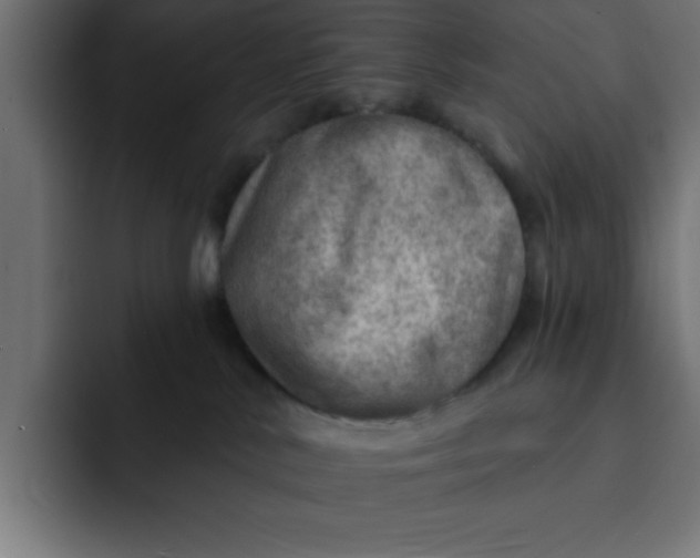 X0000092040042200710031032