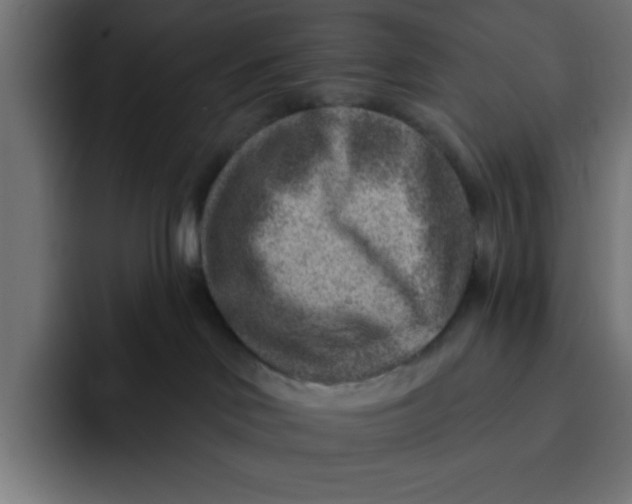 X0000092040046200710031032