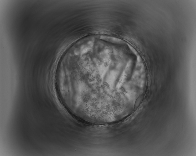 X0000092040049200710031032