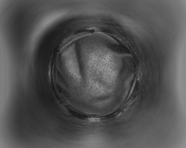 X0000092040052200710031032