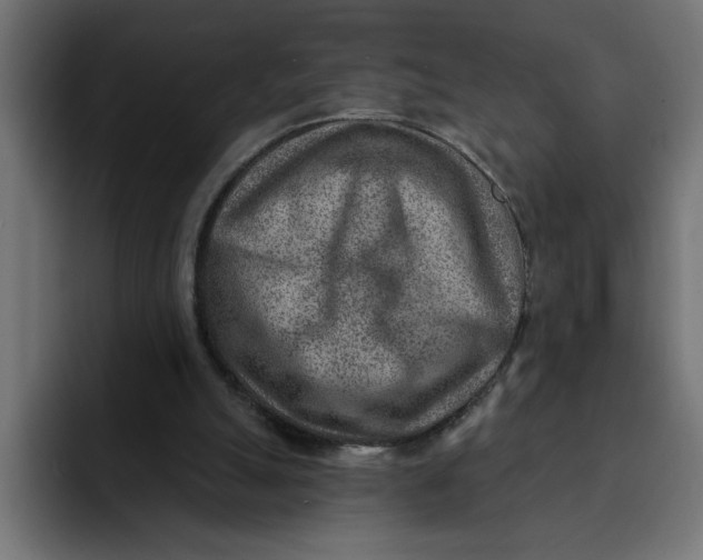 X0000092040055200710031032