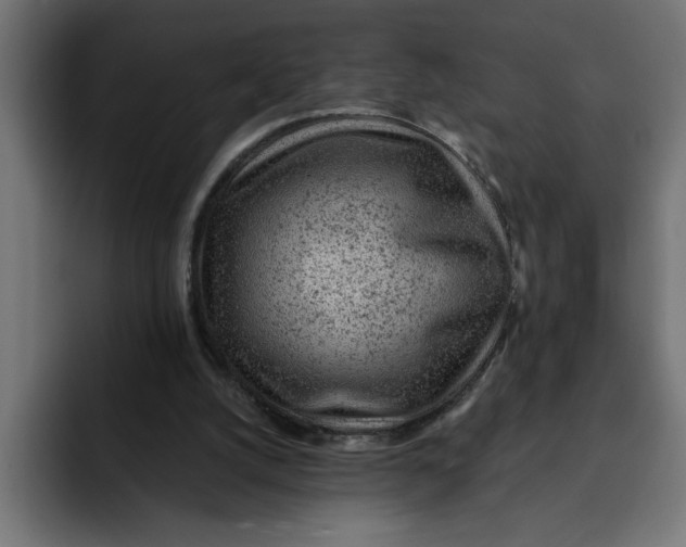 X0000092040056200710031032