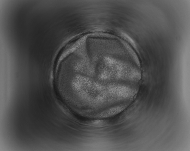 X0000092040059200710031032