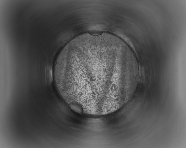 X0000092040061200710031032