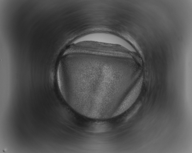 X0000092040063200710031032