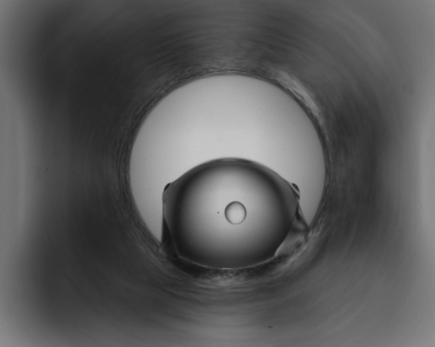 X0000092040065200710031032