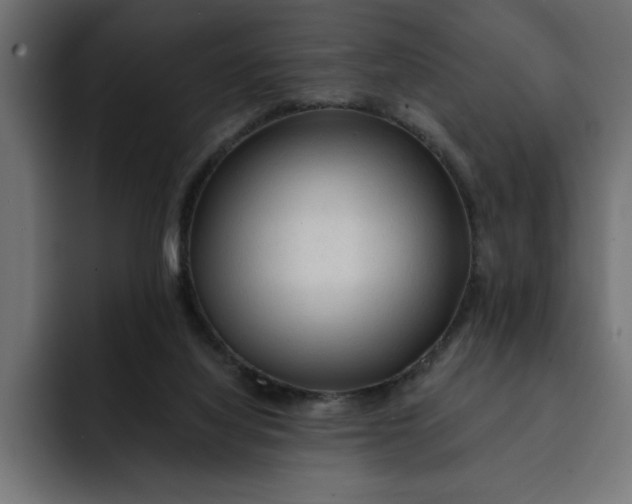 X0000092040068200710031032