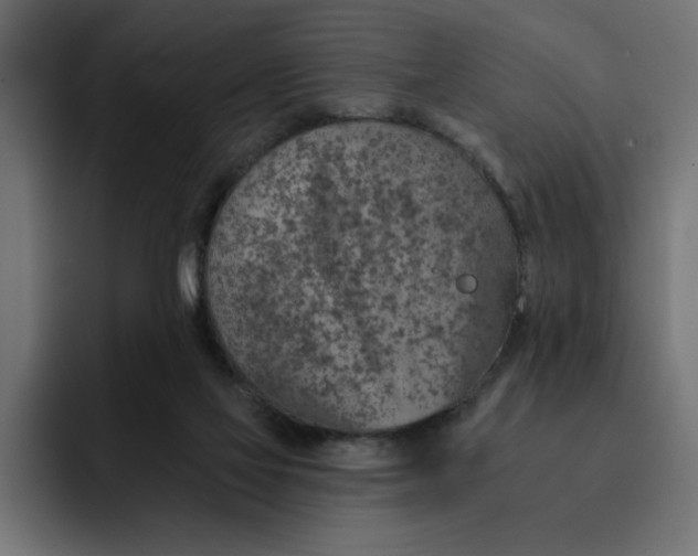 X0000092040069200710031032