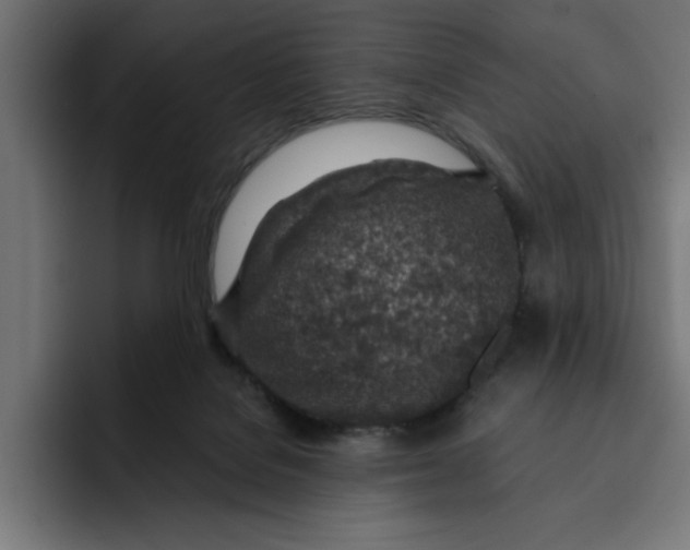 X0000092040076200710031032