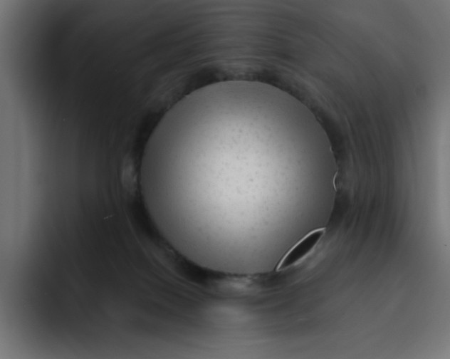 X0000092040086200710031032