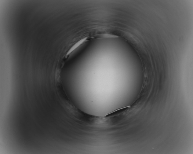 X0000092040096200710031032