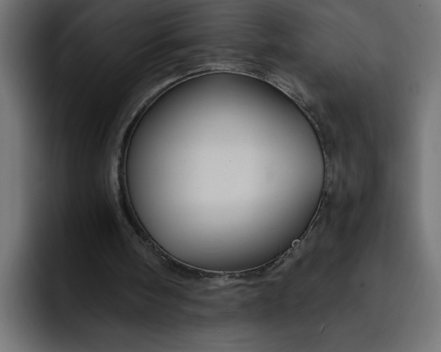 X0000092040098200710031032