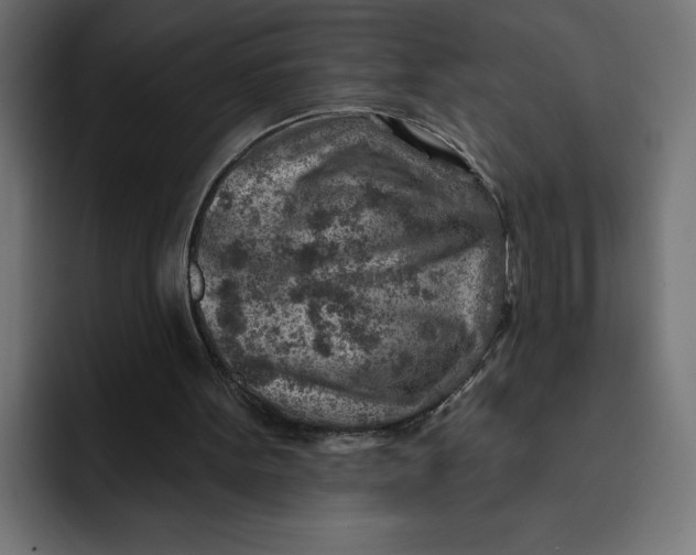 X0000092040099200710031032