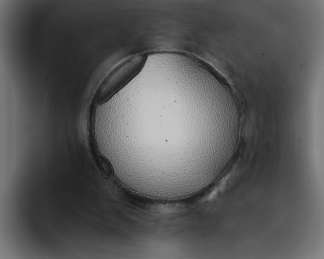 X0000092040103200710031032